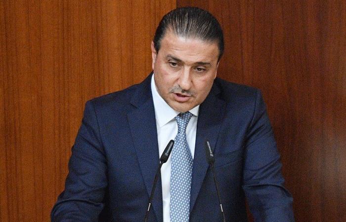 سعد: لبنان بخطر بسبب غباء الطبقة السياسية